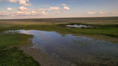 Pintail Flatt Grazing Unit & New Home- Dodson, Montana - image 13
