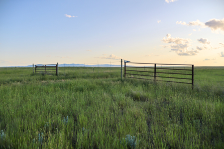 Pintail Flatt Grazing Unit & New Home- Dodson, Montana - image 24