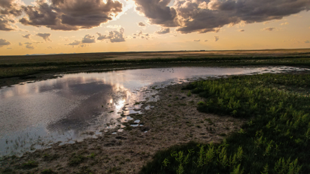 Pintail Flatt Grazing Unit & New Home- Dodson, Montana - image 17