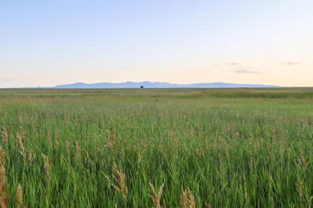 Pintail Flatt Grazing Unit & New Home- Dodson, Montana - image 3