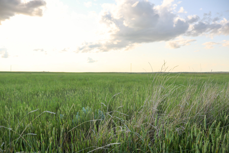 Pintail Flatt Grazing Unit & New Home- Dodson, Montana - image 25