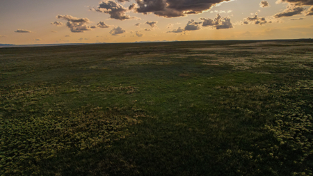Pintail Flatt Grazing Unit & New Home- Dodson, Montana - image 38