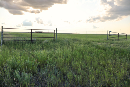 Pintail Flatt Grazing Unit & New Home- Dodson, Montana - image 23