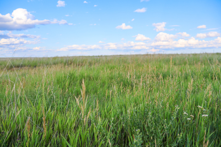 Pintail Flatt Grazing Unit & New Home- Dodson, Montana - image 14