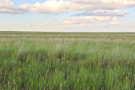 Pintail Flatt Grazing Unit & New Home- Dodson, Montana - image 27