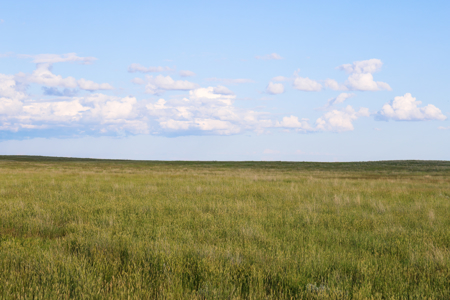 Pintail Flatt Grazing Unit & New Home- Dodson, Montana - image 29