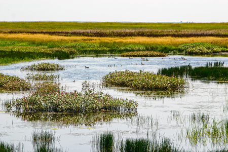 Pintail Flatt Grazing Unit & New Home- Dodson, Montana - image 9
