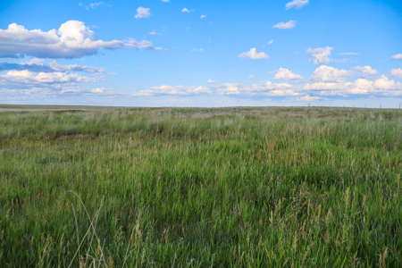 Pintail Flatt Grazing Unit & New Home- Dodson, Montana - image 16