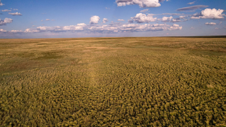 Pintail Flatt Grazing Unit & New Home- Dodson, Montana - image 32