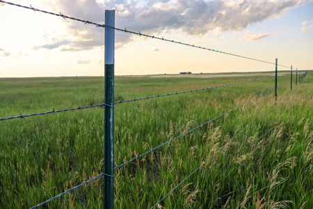 Pintail Flatt Grazing Unit & New Home- Dodson, Montana - image 10
