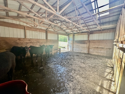 Country Home with Acreage for Sale in Salem, Missouri - image 24