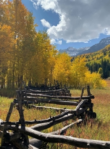 Home for Sale on 39 Acres of Land in Ridgway, Colorado! - image 26