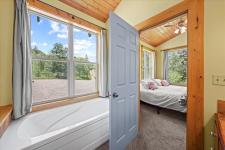 Home for Sale on 39 Acres of Land in Ridgway, Colorado! - image 12