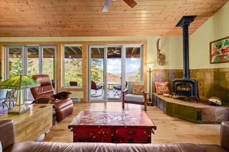 Home for Sale on 39 Acres of Land in Ridgway, Colorado! - image 5