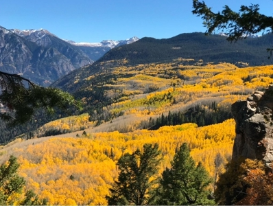 Home for Sale on 39 Acres of Land in Ridgway, Colorado! - image 27