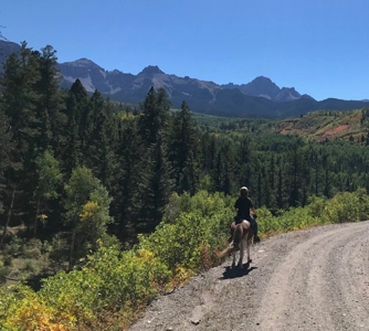 Home for Sale on 39 Acres of Land in Ridgway, Colorado! - image 25