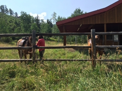 Home for Sale on 39 Acres of Land in Ridgway, Colorado! - image 22