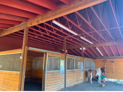 Home for Sale on 39 Acres of Land in Ridgway, Colorado! - image 20