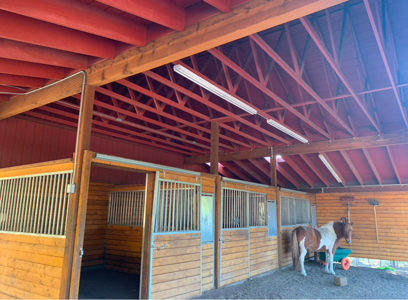 Home for Sale on 39 Acres of Land in Ridgway, Colorado! - image 21