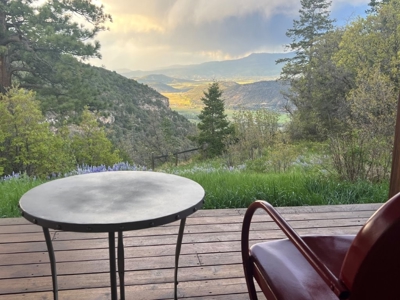 Home for Sale on 39 Acres of Land in Ridgway, Colorado! - image 15