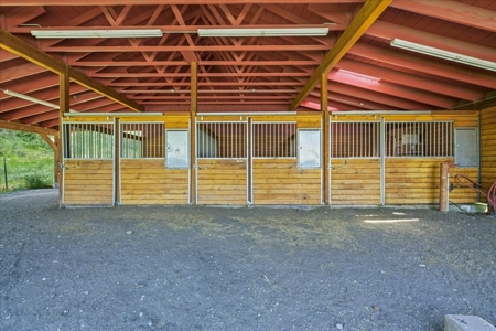 Home for Sale on 39 Acres of Land in Ridgway, Colorado! - image 19