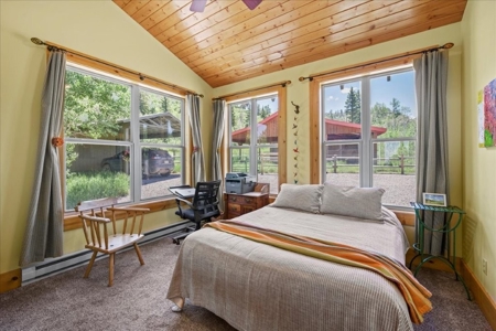 Home for Sale on 39 Acres of Land in Ridgway, Colorado! - image 11