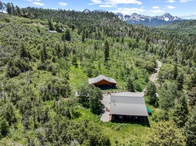 Home for Sale on 39 Acres of Land in Ridgway, Colorado! - image 4