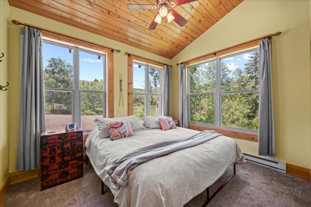 Home for Sale on 39 Acres of Land in Ridgway, Colorado! - image 10