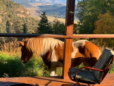 Home for Sale on 39 Acres of Land in Ridgway, Colorado! - image 23