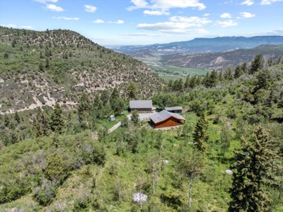 Home for Sale on 39 Acres of Land in Ridgway, Colorado! - image 3