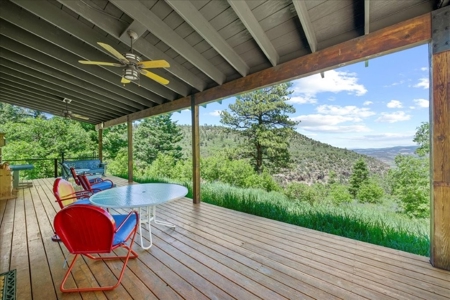 Home for Sale on 39 Acres of Land in Ridgway, Colorado! - image 14