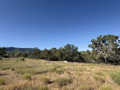 Farm ground with country home in Parachute Colorado - image 21