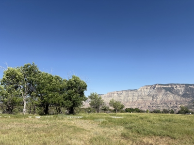 Farm ground with country home in Parachute Colorado - image 36