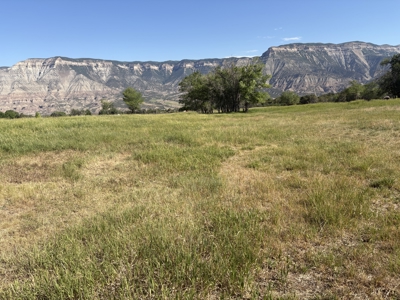 Farm ground with country home in Parachute Colorado - image 34