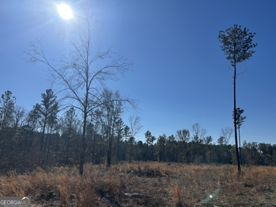 Acreage for Sale in Tattnall County with NO Restrictions! - image 4