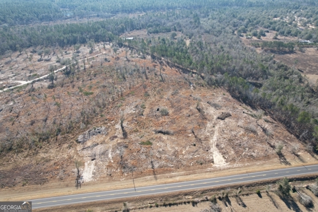 Acreage for Sale in Tattnall County with NO Restrictions! - image 2