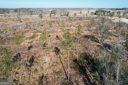 Acreage for Sale in Tattnall County with NO Restrictions! - image 6