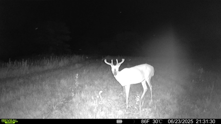 Scenic Osage County Kansas 98 Acres - image 22