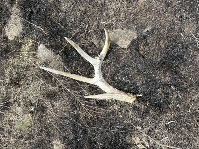 Scenic Osage County Kansas 98 Acres - image 14