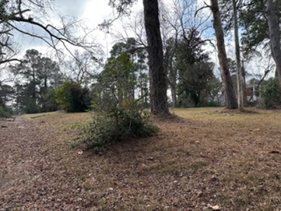 Commercial Property for Sale in Longview Texas - image 2