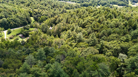 Land For Sale with Valley Views - Lenoir NC - image 14