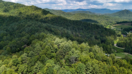 Land For Sale with Valley Views - Lenoir NC - image 9