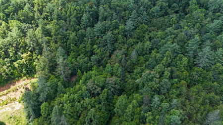 Land For Sale with Valley Views - Lenoir NC - image 15
