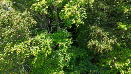 Land For Sale with Valley Views - Lenoir NC - image 17