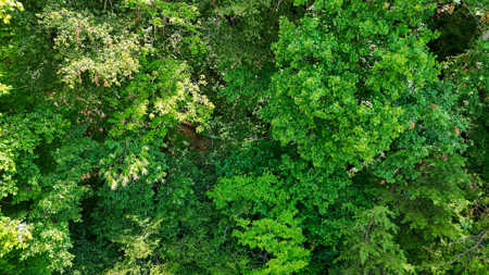 Land For Sale with Valley Views - Lenoir NC - image 16