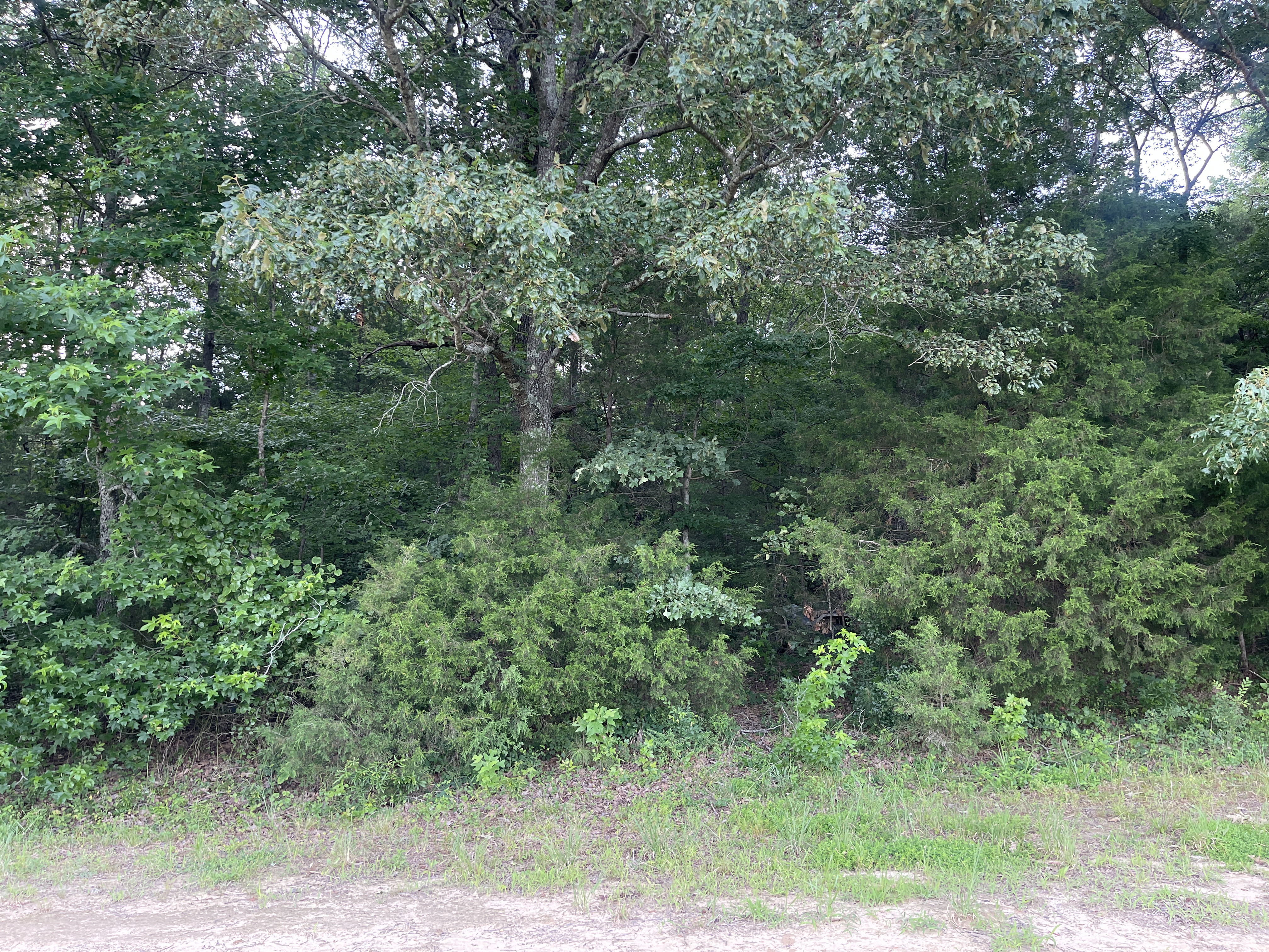 Hunting Land With Spring / Creek In Hardin County, 100 Acres+/-