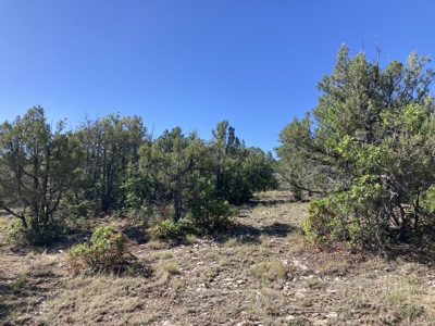 2.02 Acres Near Chama and Tierra Amarilla With Great Views - image 7