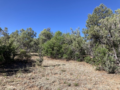 2.02 Acres Near Chama and Tierra Amarilla With Great Views - image 6