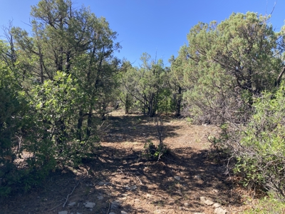 2.02 Acres Near Chama and Tierra Amarilla With Great Views - image 9