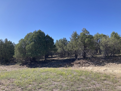 2.02 Acres Near Chama and Tierra Amarilla With Great Views - image 3